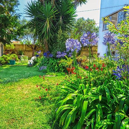 Bed and Breakfast Lugar Saloio Sintra Mem Martins Zewnętrze zdjęcie