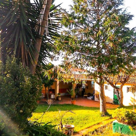 Bed and Breakfast Lugar Saloio Sintra Mem Martins Zewnętrze zdjęcie