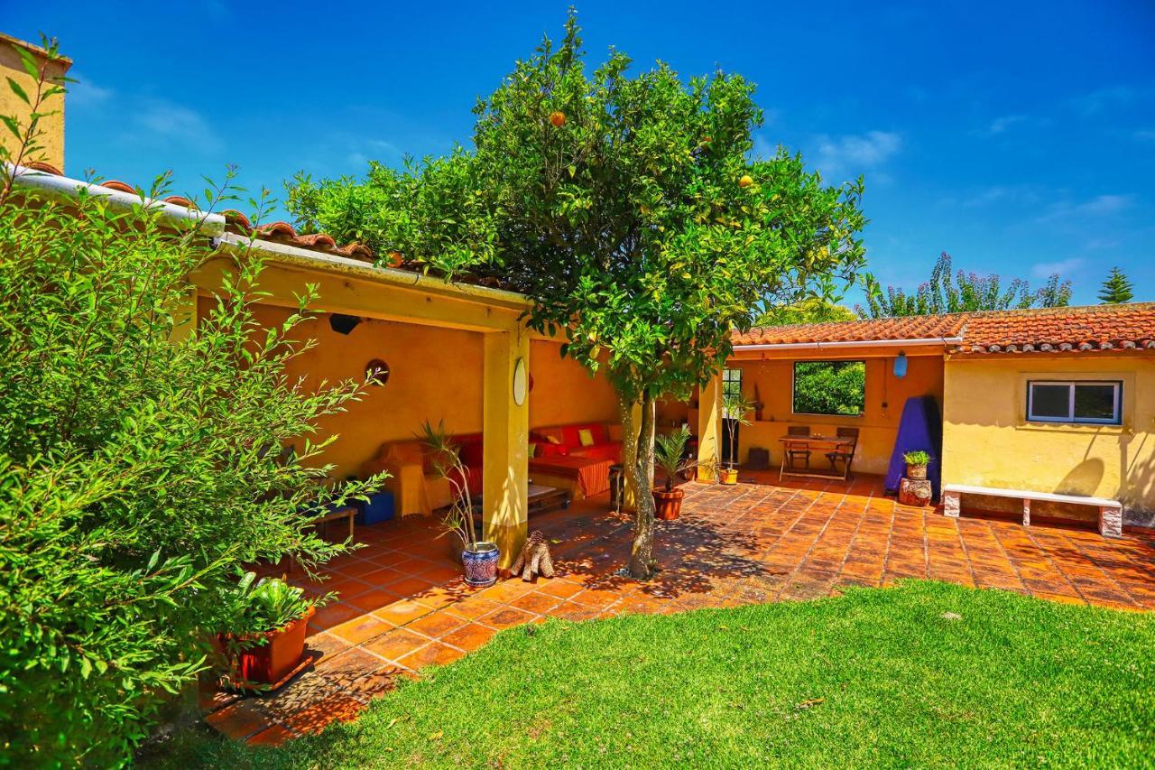 Bed and Breakfast Lugar Saloio Sintra Mem Martins Zewnętrze zdjęcie